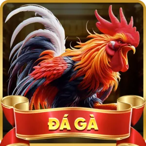 Khuyến mãi và ưu đãi daga68 giftcode